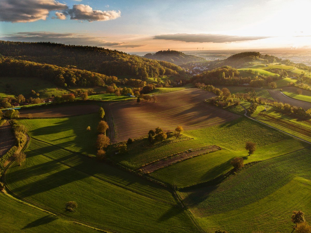 Aerial view of patchwork countryside fields at golden hour